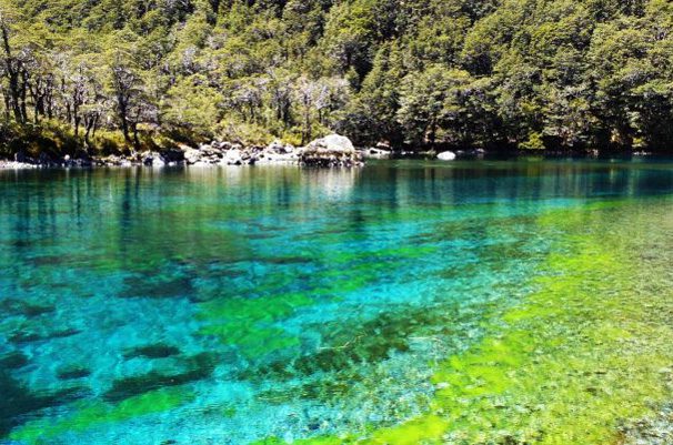 Blue Lake Nelson Lakes National Park