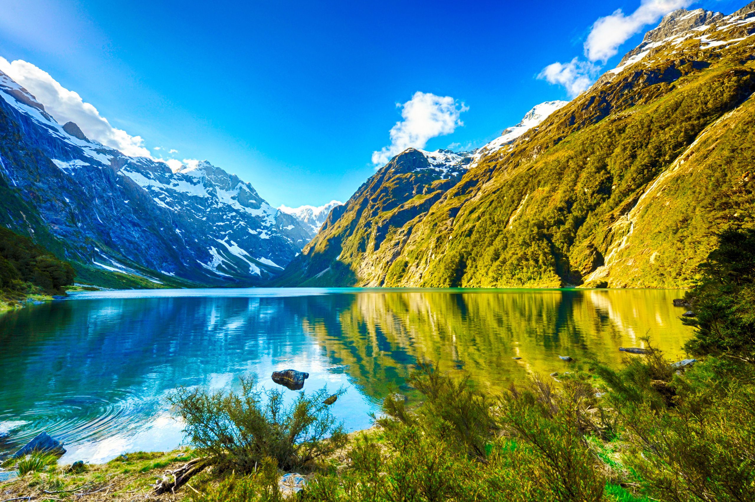 New Zealand Tourists spot